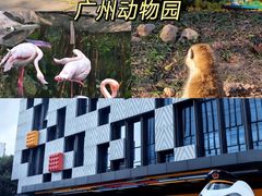 -广州长隆国际大马戏