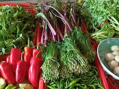 -雅和生态渔庄·宜城锅巴饭(龙灵山公园店)