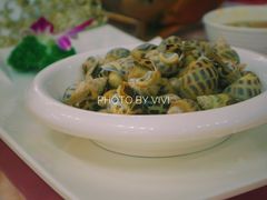 中花螺-都市阳光海鲜城(青山湖店)