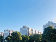 -菊园百果园