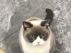 -东莞宠友24H宠物中心医院·转诊夜诊·异宠(新河北路院)