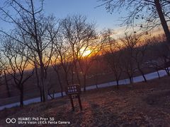 -北京西山国家森林公园