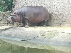 -南昌动物园