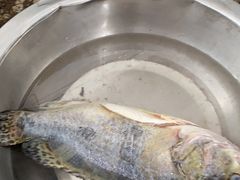 -庆岭迎宾园正宗活鱼馆