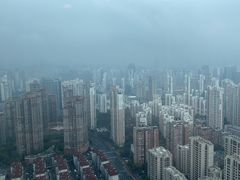 -环球港凯悦 · 享悦中餐厅