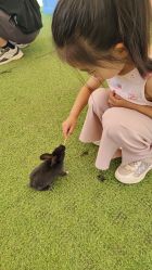 -萌宠亲子动物乐园(槐房万达店)