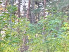 -帽儿山国家森林公园