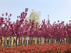 -临沂动植物园