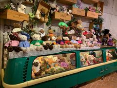 -济州岛泰迪熊博物馆