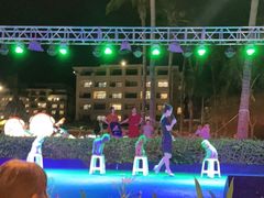 -渔家火锅·海鲜自助餐·演艺(亚龙湾天域酒店)