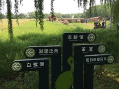 -长兴太湖图影湿地文化园