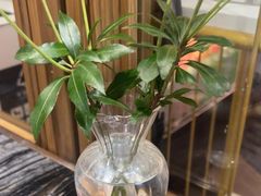 -THE WOODS 简餐 (国贸商城店)