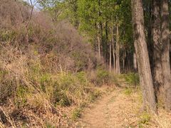 -蟠龙山长城景区