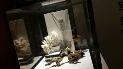 -北京七彩云南翡翠珠宝旗舰店(月坛店)