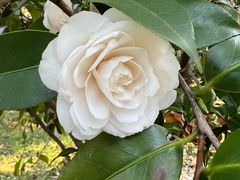 -宝岩生态观光园