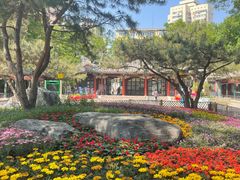 -宣武艺园