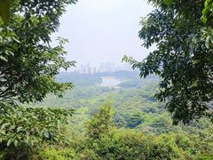 -黄山鲁森林公园