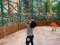 -杭州开元森泊度假乐园