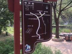 -白河湾生态旅游一条川