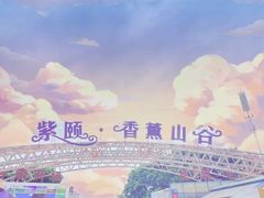 -紫颐香薰山谷景区