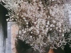 -都氏家DUSJOY(翡翠城店)