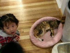 -猫的天空之城概念书店(杭州南宋御街店)