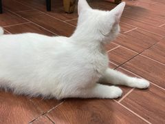 -吴记口味馆