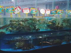 门面-恒宝大酒楼(城际·荔盈大厦店)