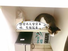-宠颐生中康贝怡动物医院