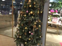 -BEAST野兽派(上海浦东嘉里城店)