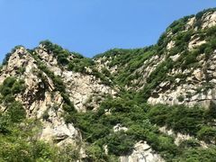 -王顺山国家森林公园