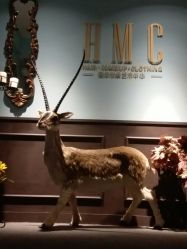 -HMC美容按摩SPA馆