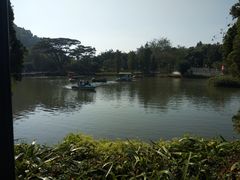-南沙蒲洲花园