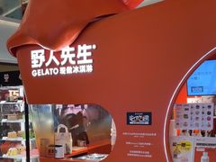 -野人先生现做冰淇淋(北京王府井东方新天地店)