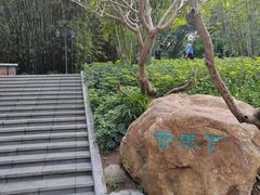 -晓港公园