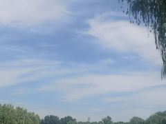 -老爆肚满五香烧牛羊肉