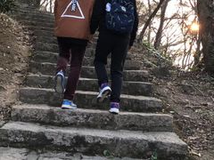 -青龙山公园