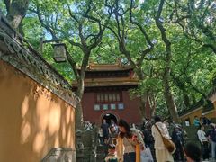 -普陀山风景名胜区-法雨禅寺