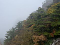 -黄山西海饭店-自助餐厅