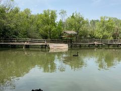 -溱湖国家湿地公园