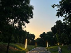 -张坝桂圆林公园
