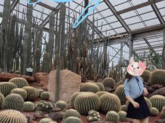 -南通洲际绿博园