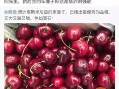 -油麻地果栏