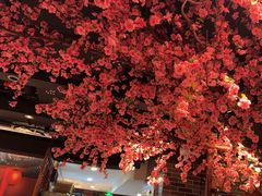 -重庆地瓜老火锅(广渠门店)