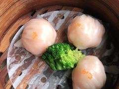 -美点双辉(东方汇店)