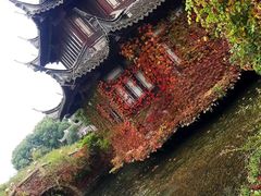 -韩湘水博园