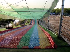 -泗洪洪泽湖湿地景区