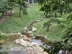 -大连森林动物园