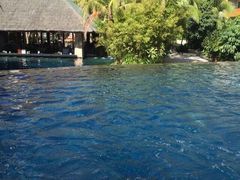 -三亚湾海居铂尔曼度假酒店