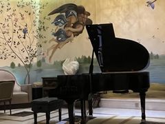 -大堂吧·下午茶·特调鸡尾酒(大连一方城堡豪华精选酒店)